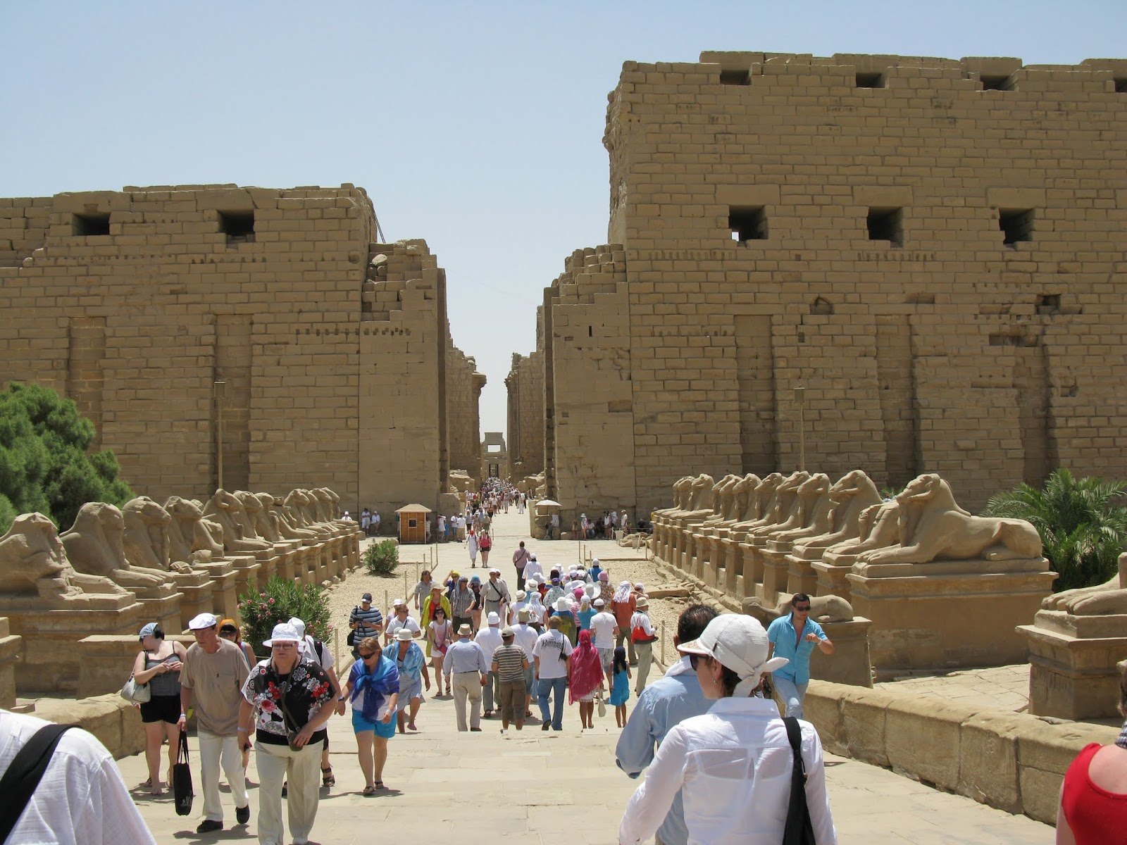 Где Лучше Купить Тур В Египет