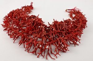 Камень коралл: свойства, фото, цвет, кому подходит по знаку