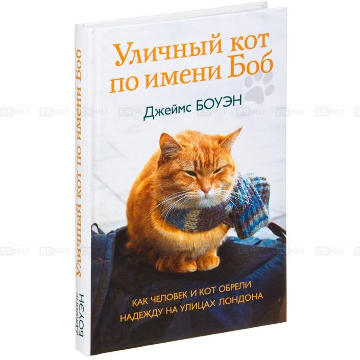 ТОП-14 книг бестселлеров: список лучших, рейтинг