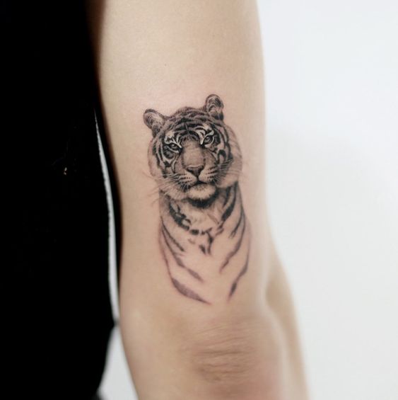 Тату тигров — значение и фото татуировок года