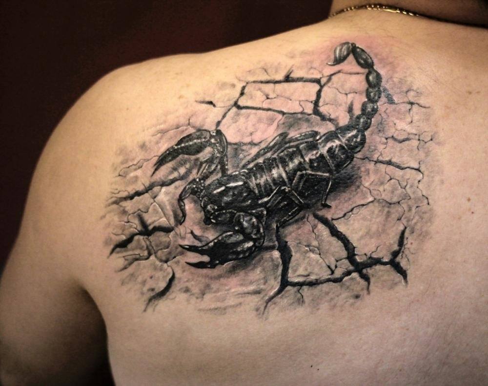 Значение татуировки скорпиона на лопатке