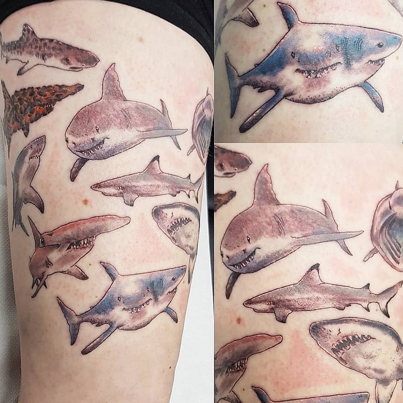Парная тату акула